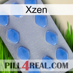 Xzen 21